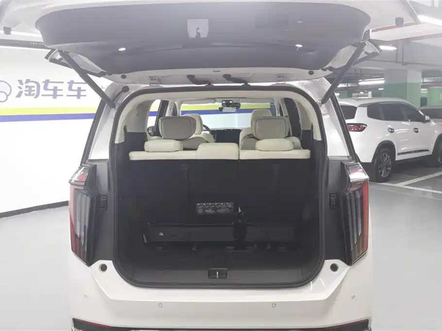 Trumpchi Trumpchi E9