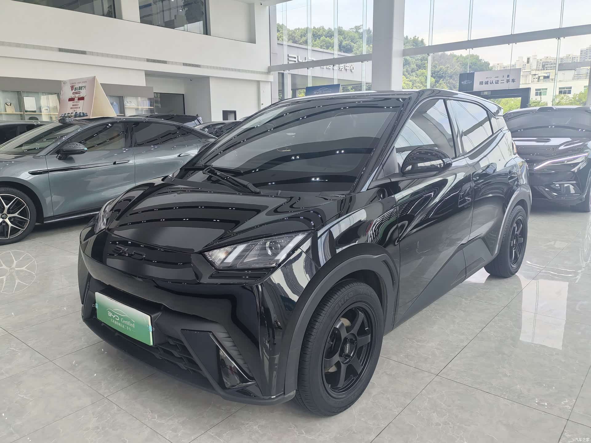 BYD Seagull, 2024 1
