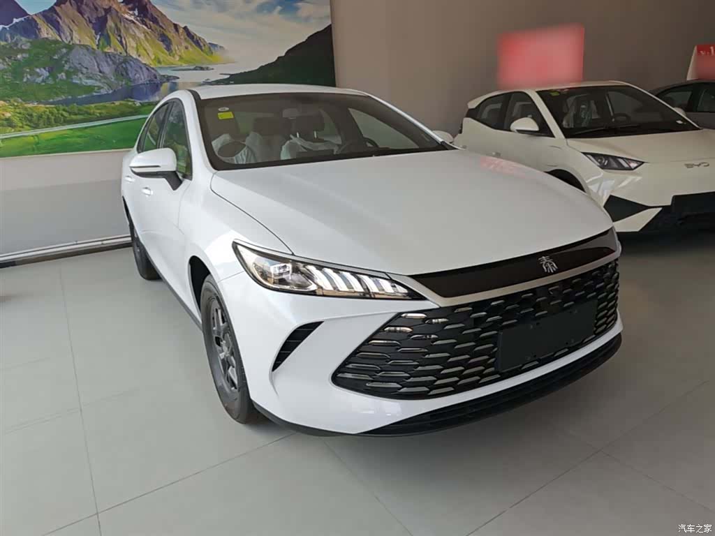BYD Qin, 2026 4