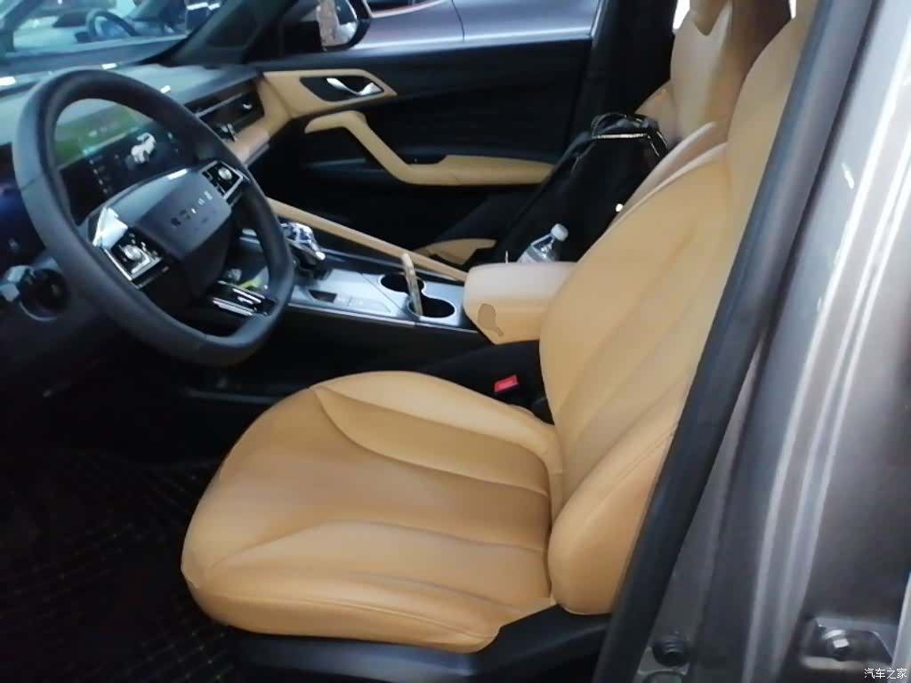 Roewe RX5, 2025 15