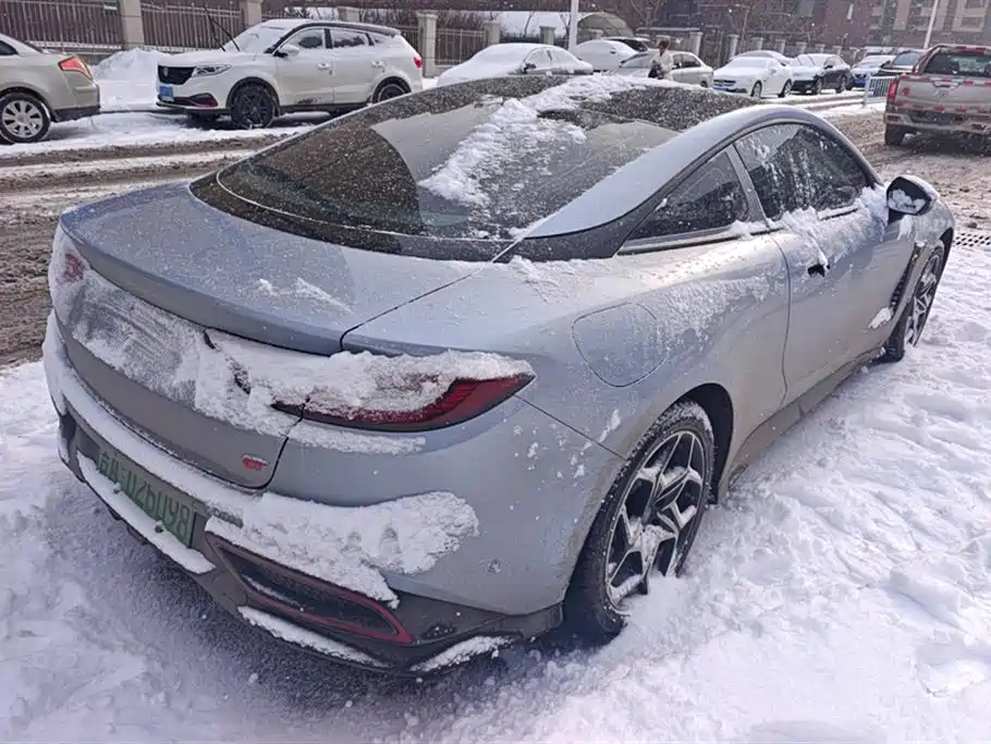 Neta Nezha GT