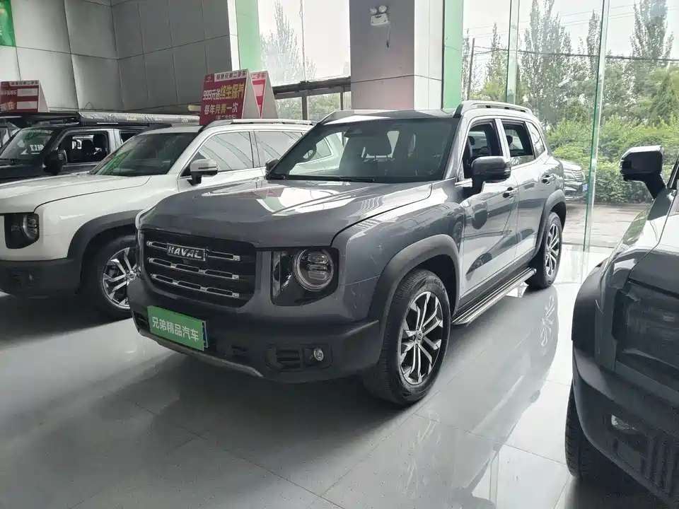 Haval Big dog