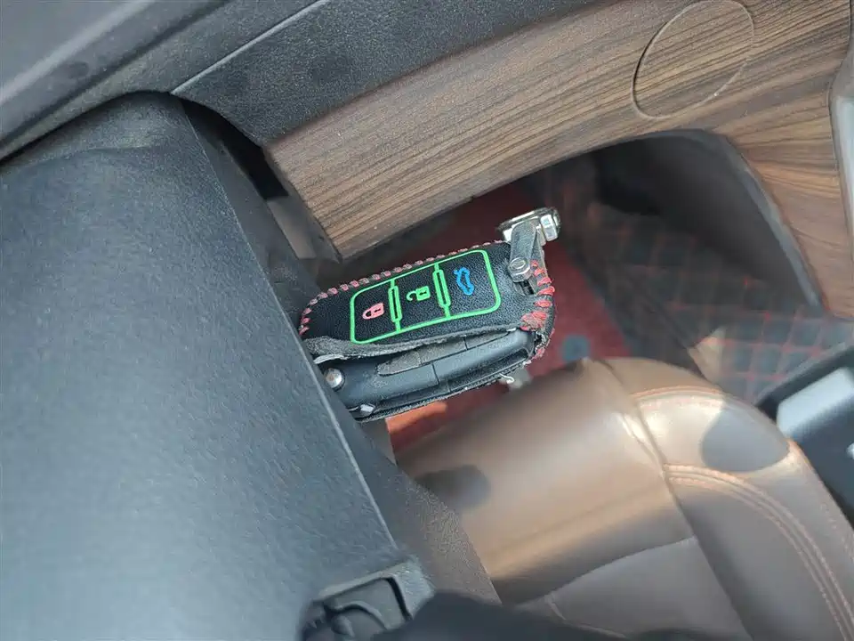 Forthing Lingzhi PLUS