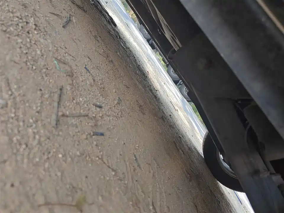 Forthing Lingzhi PLUS