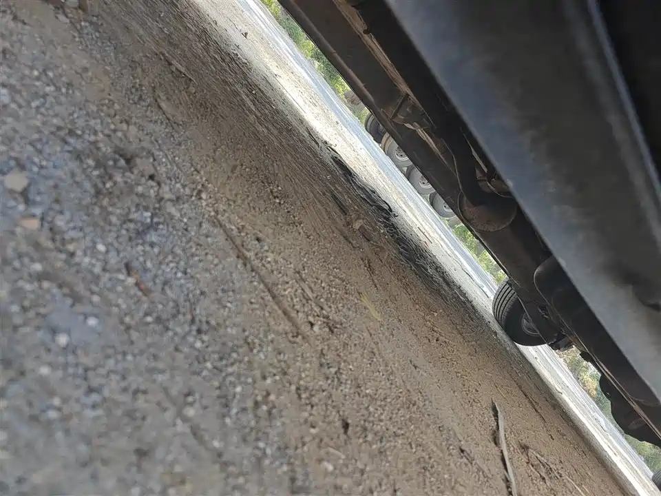 Forthing Lingzhi PLUS