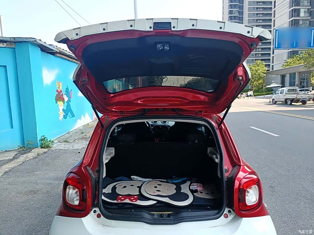 Smart Forfour, 2018 19
