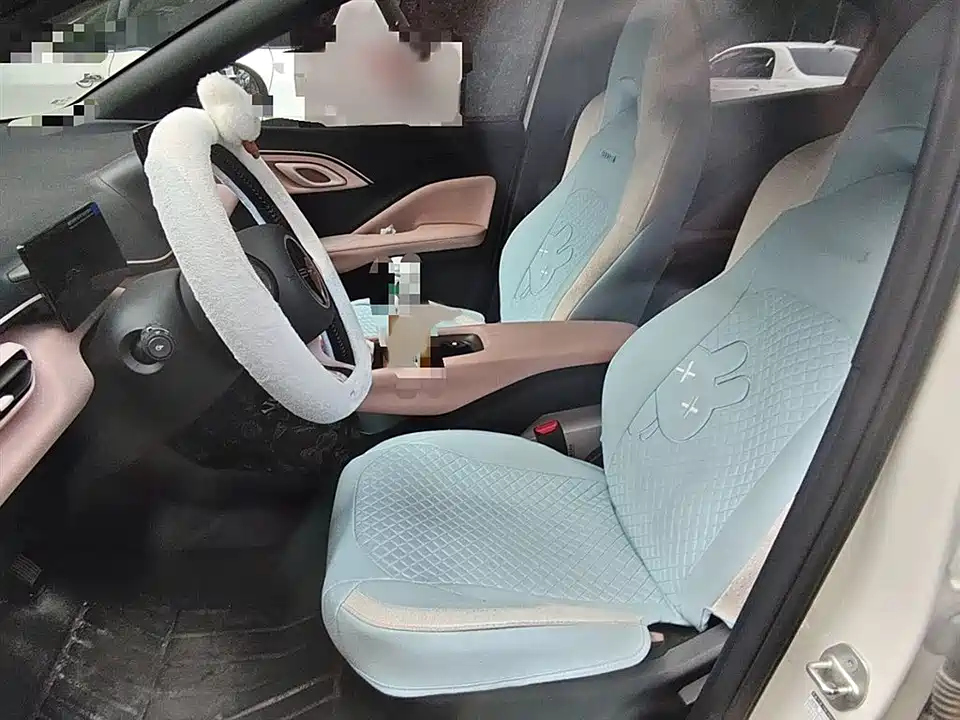 BYD Seagull
