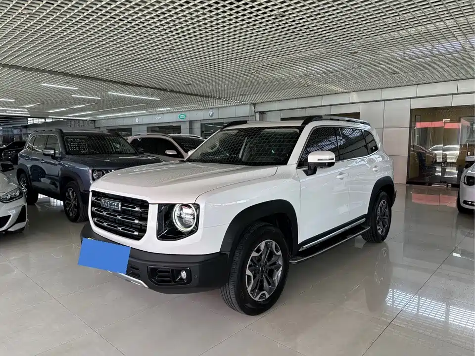 Haval Big dog