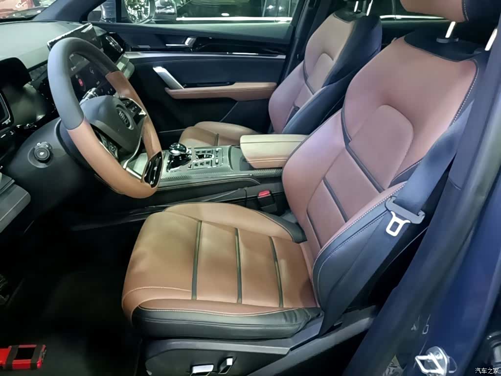 BYD Tang, 2020 15