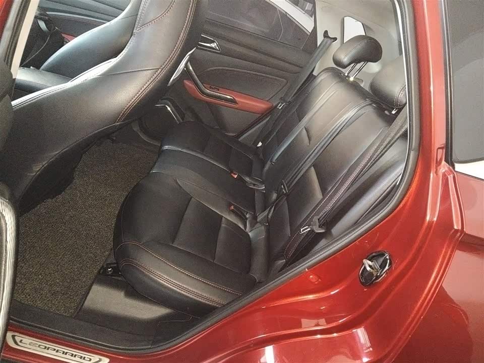 Leopaard Cheetah CS9