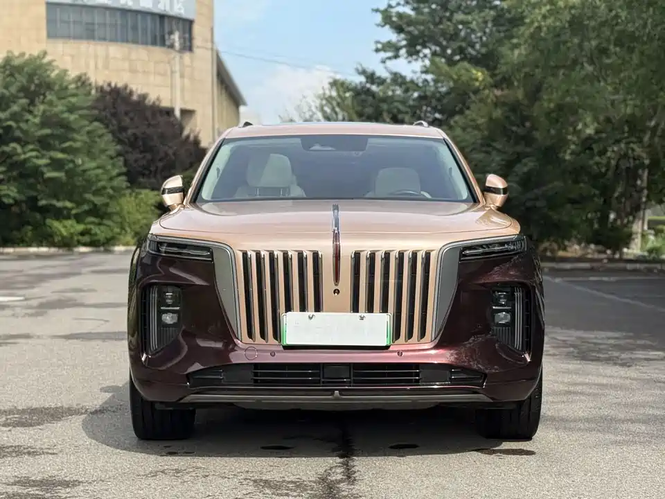 Hongqi E-HS9