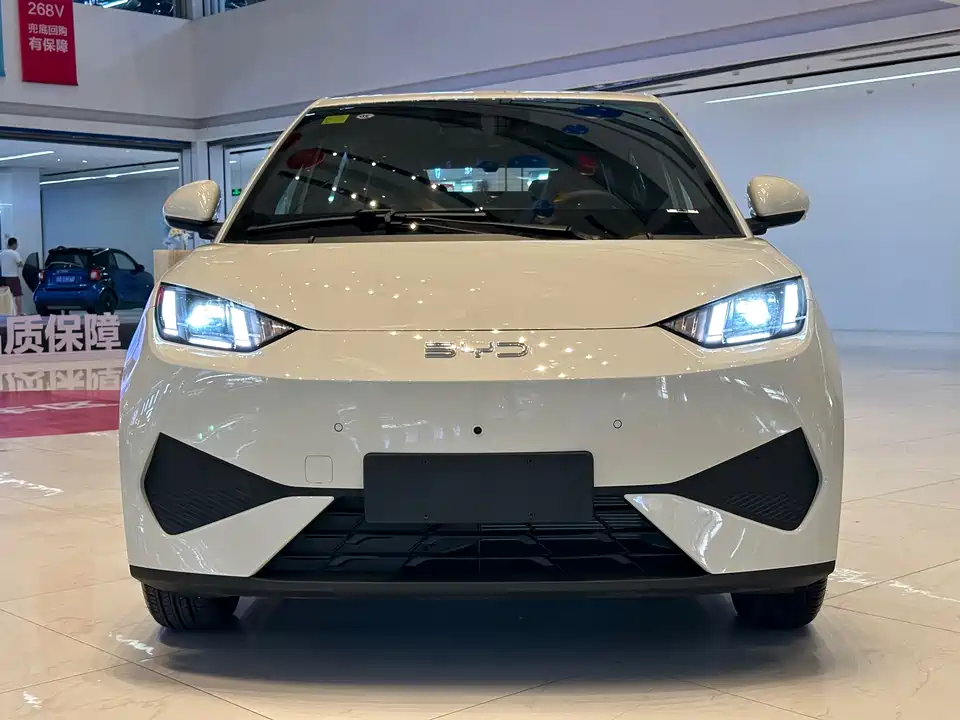 BYD Seagull