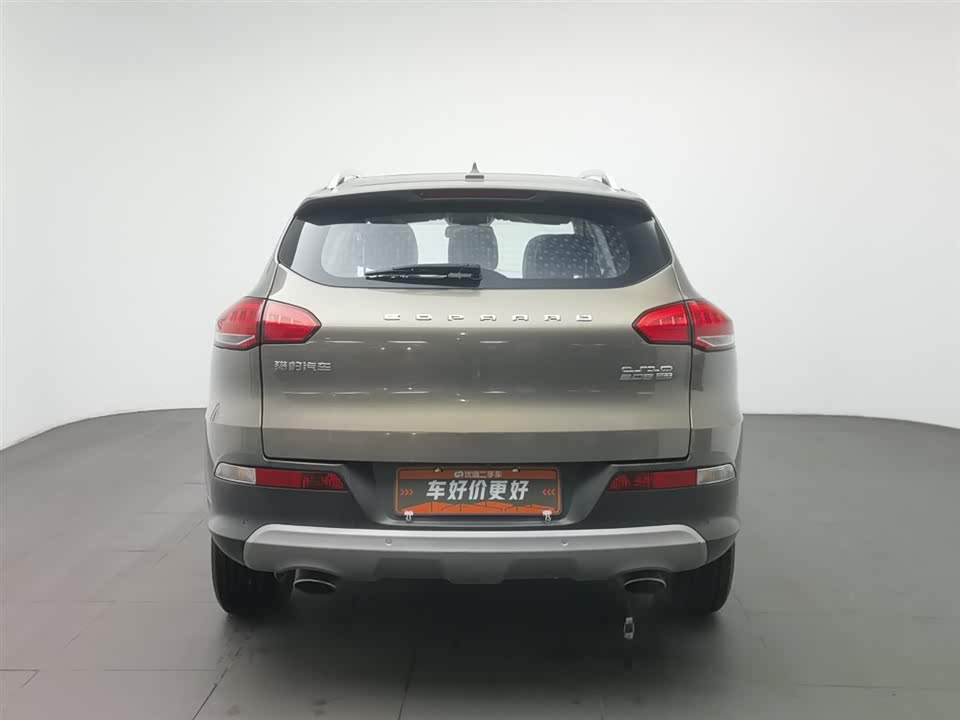 Leopaard Cheetah CS10