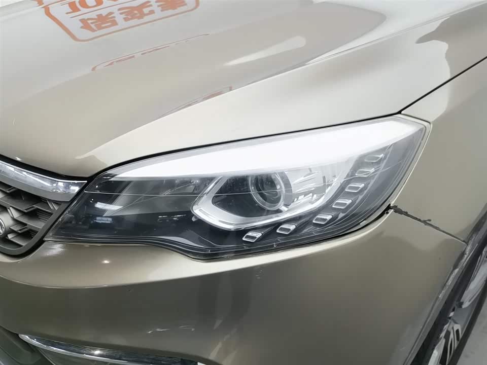 Leopaard Cheetah CS10