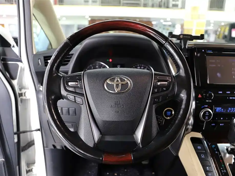 Toyota Elfa