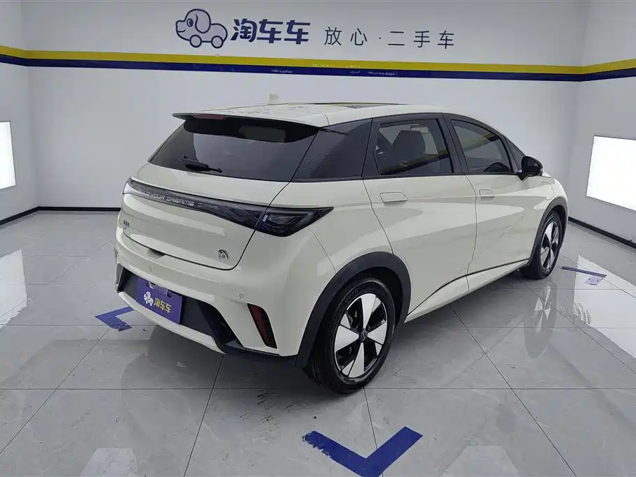 BYD dolphin