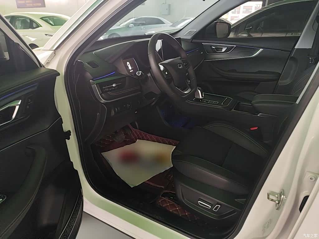 Chery Tiggo 8, 2024 16