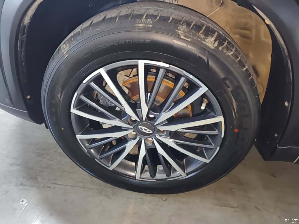 Chery Tiggo 8 Plus, 2022 25