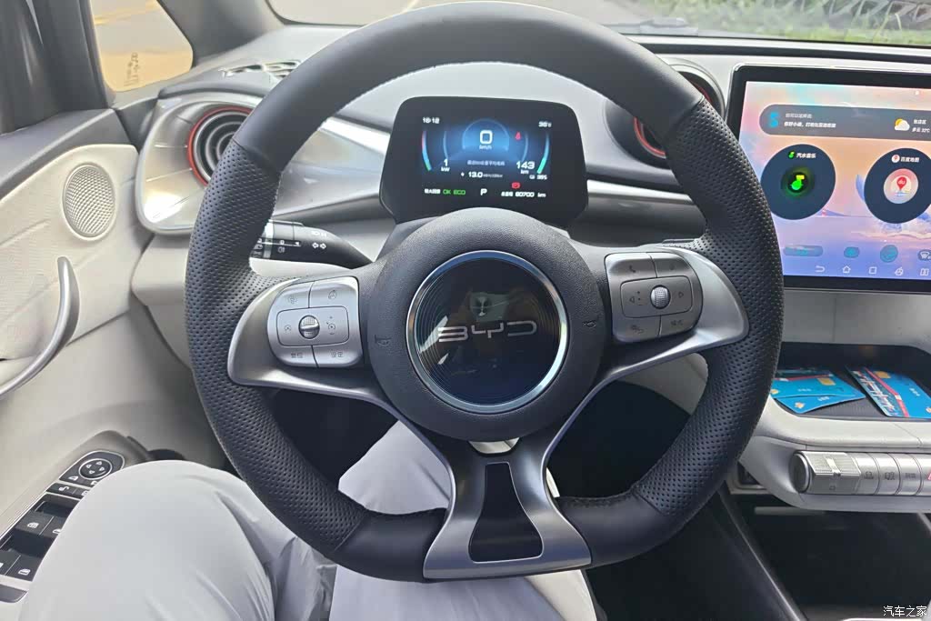 BYD Dolphin, 2022 15