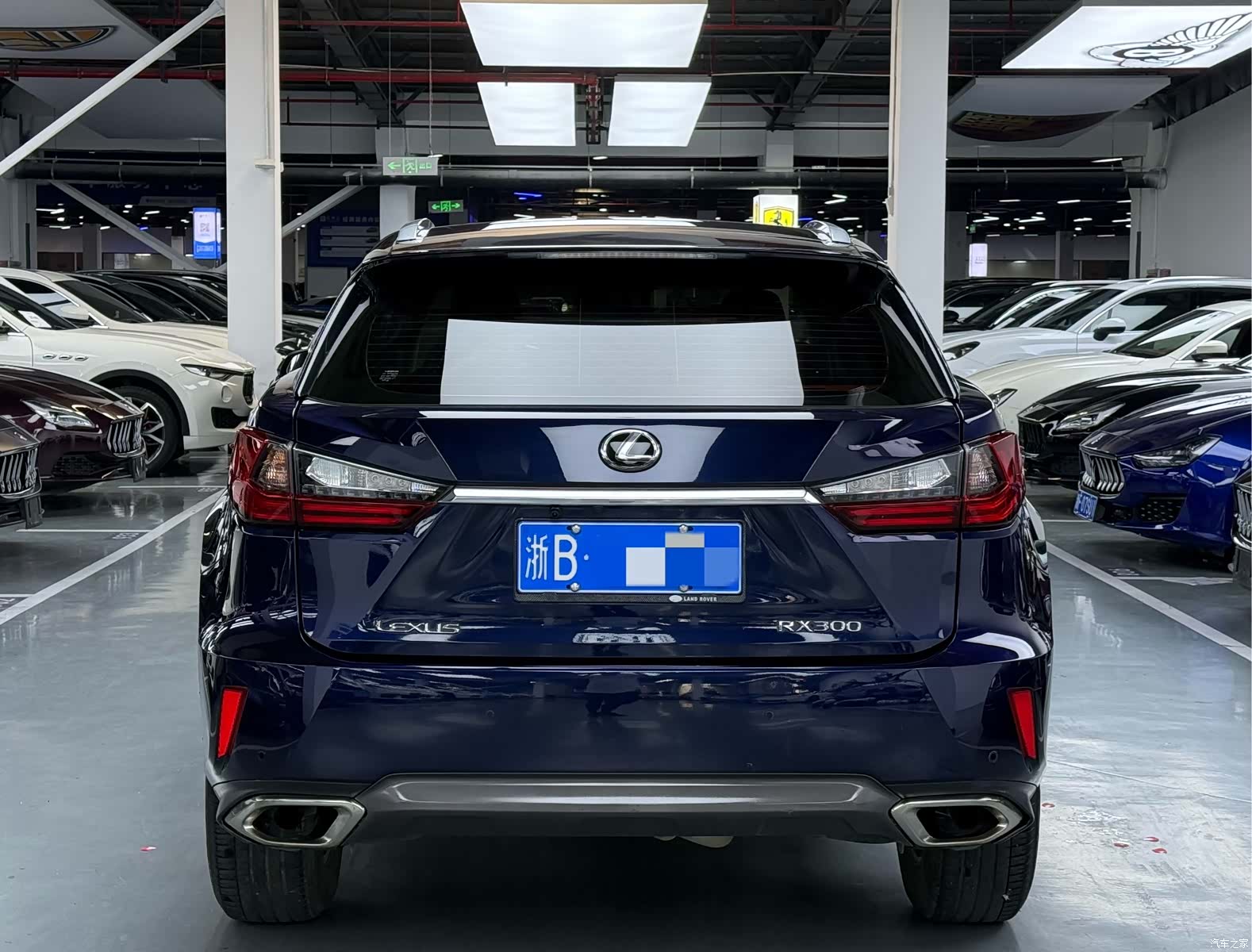 Lexus RX, 2017 11