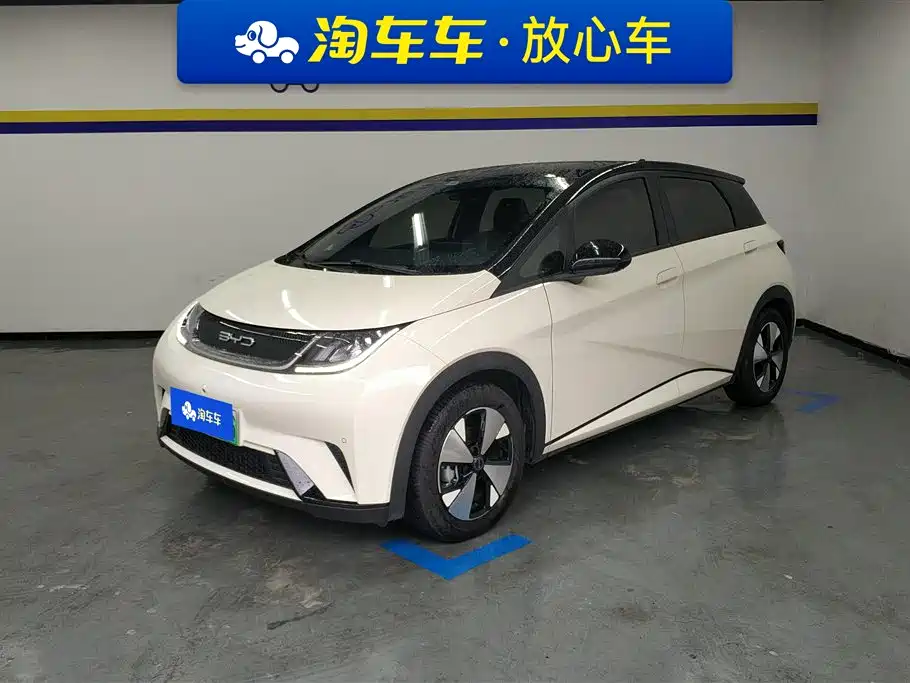 BYD dolphin