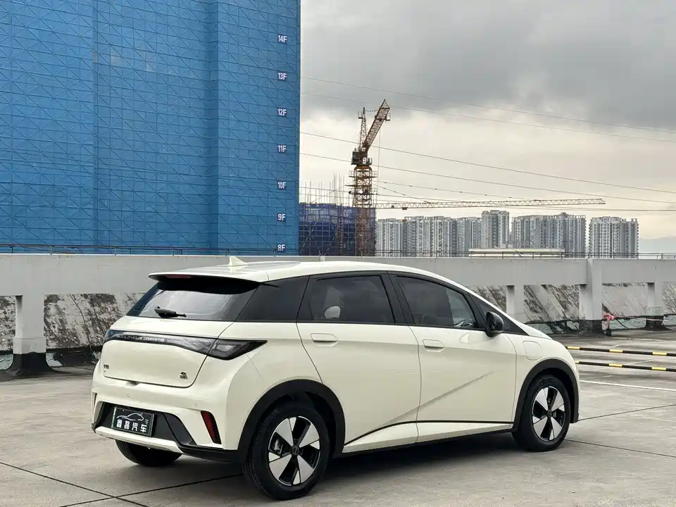 BYD dolphin BYD dolphin