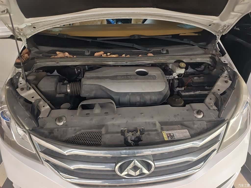 Maxus G10, 2017 11