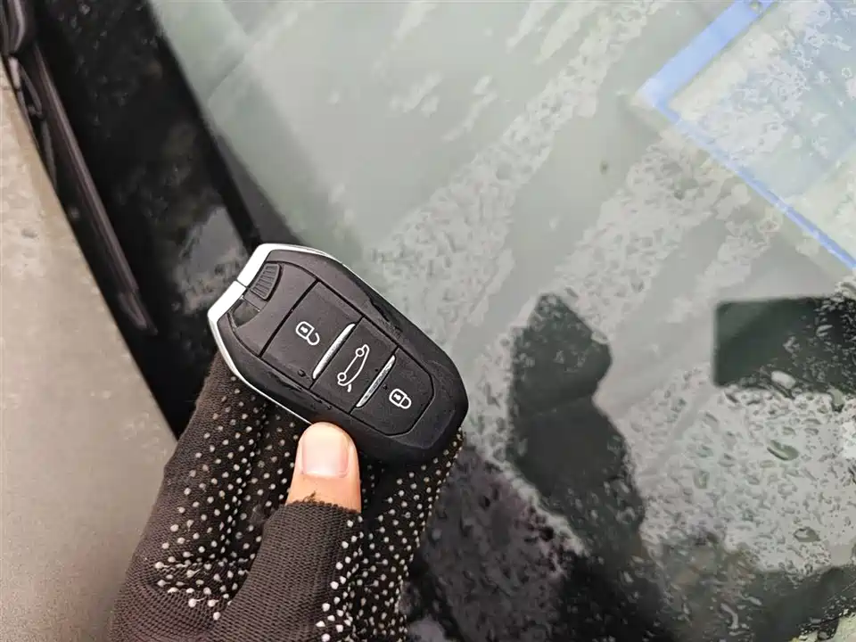 Citroen Versailles C5 X