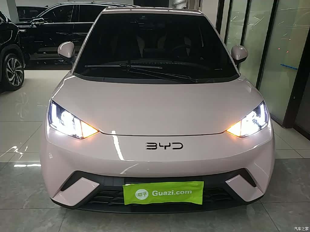 BYD Seagull, 2024 3