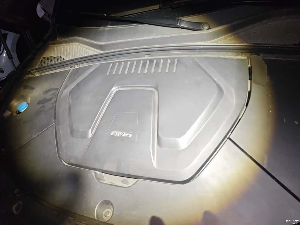 BYD Song, 2024 11