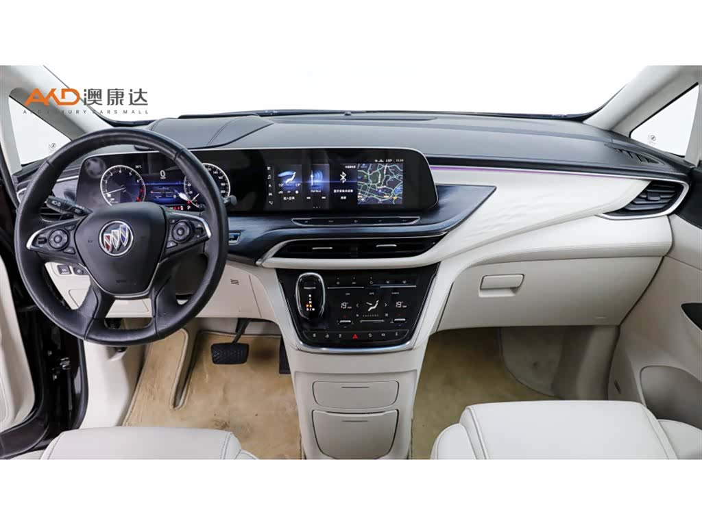 Buick GL8, 2020 все фото