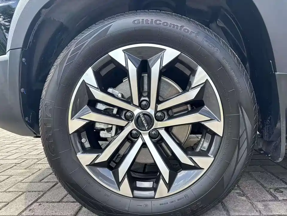 Haval Big dog
