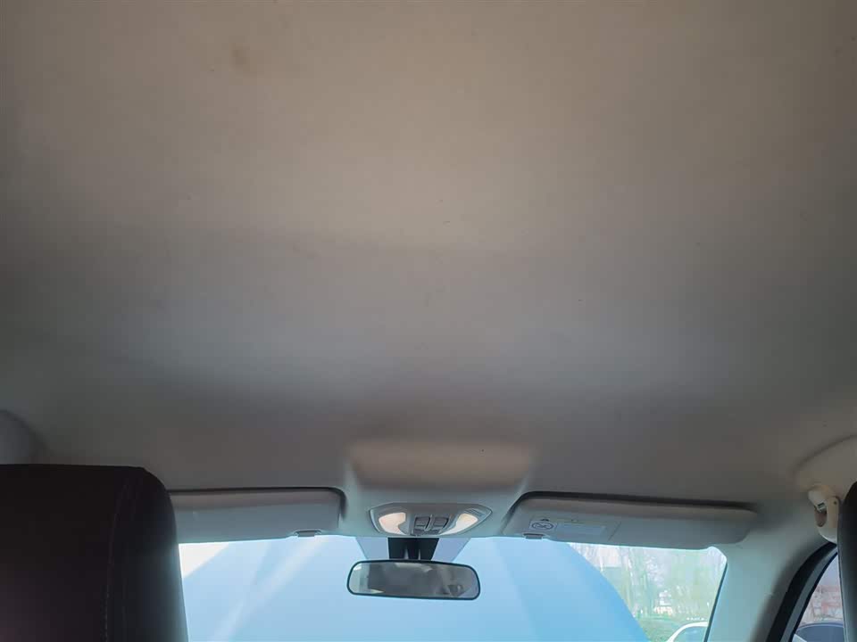 Leopaard Cheetah CS9