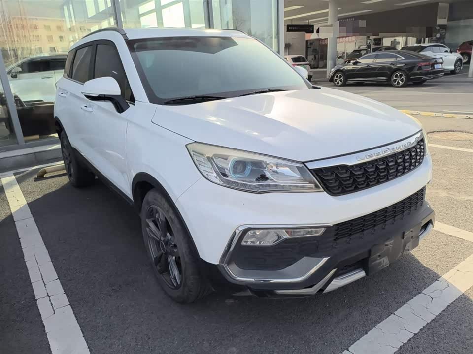 Leopaard Cheetah CS9