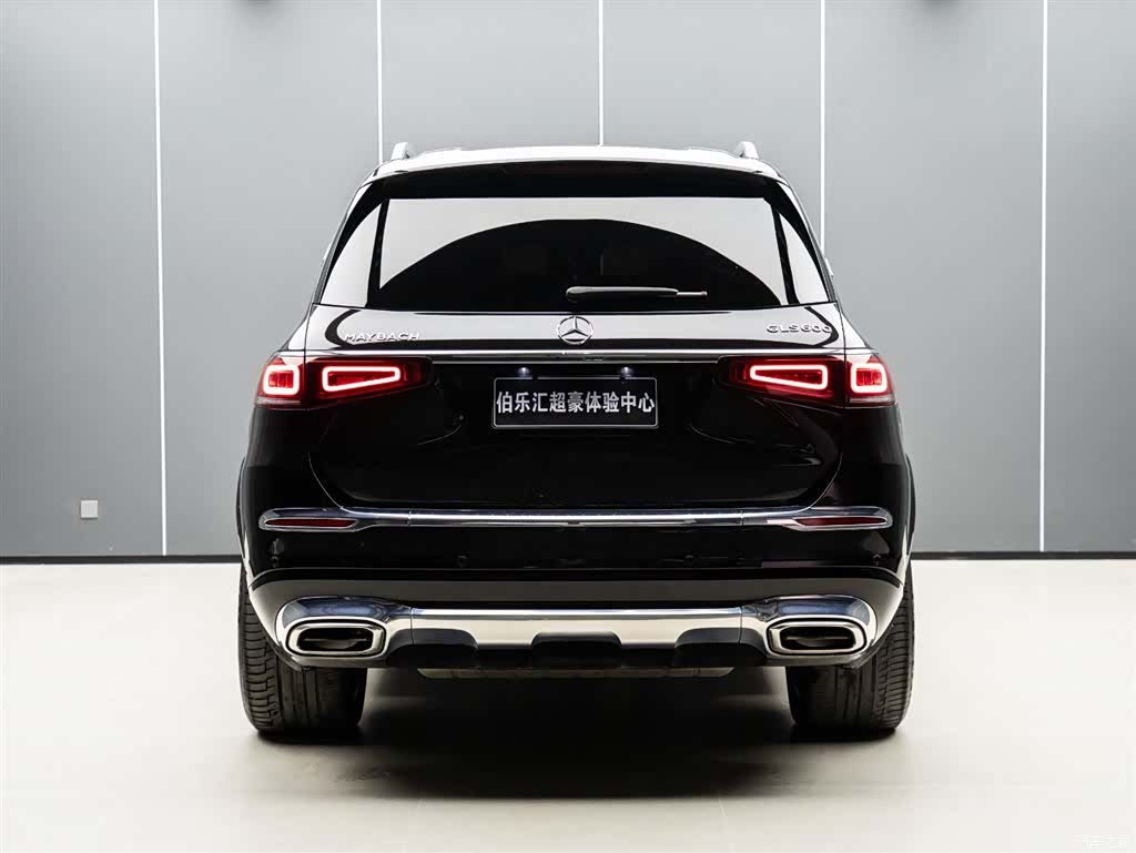 Maybach GLS, 2022 6