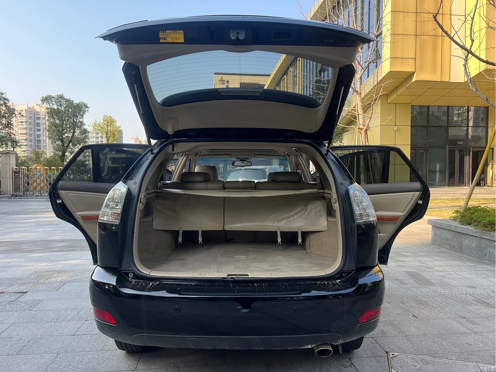 Lexus RX, 2008 14