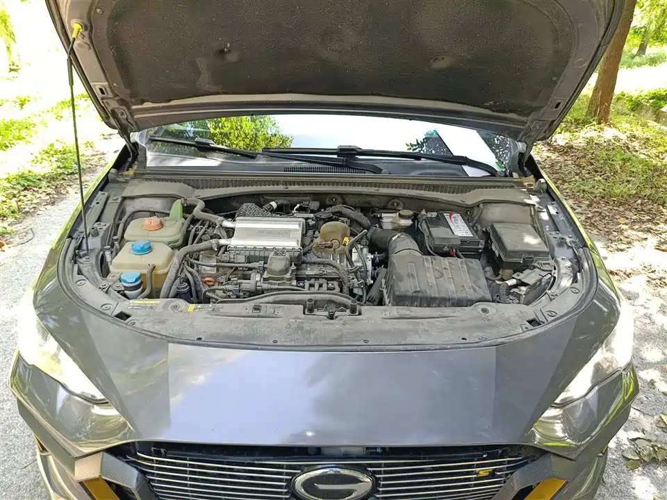 Trumpchi Shadow Leopard