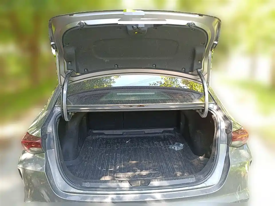 Trumpchi Shadow Leopard