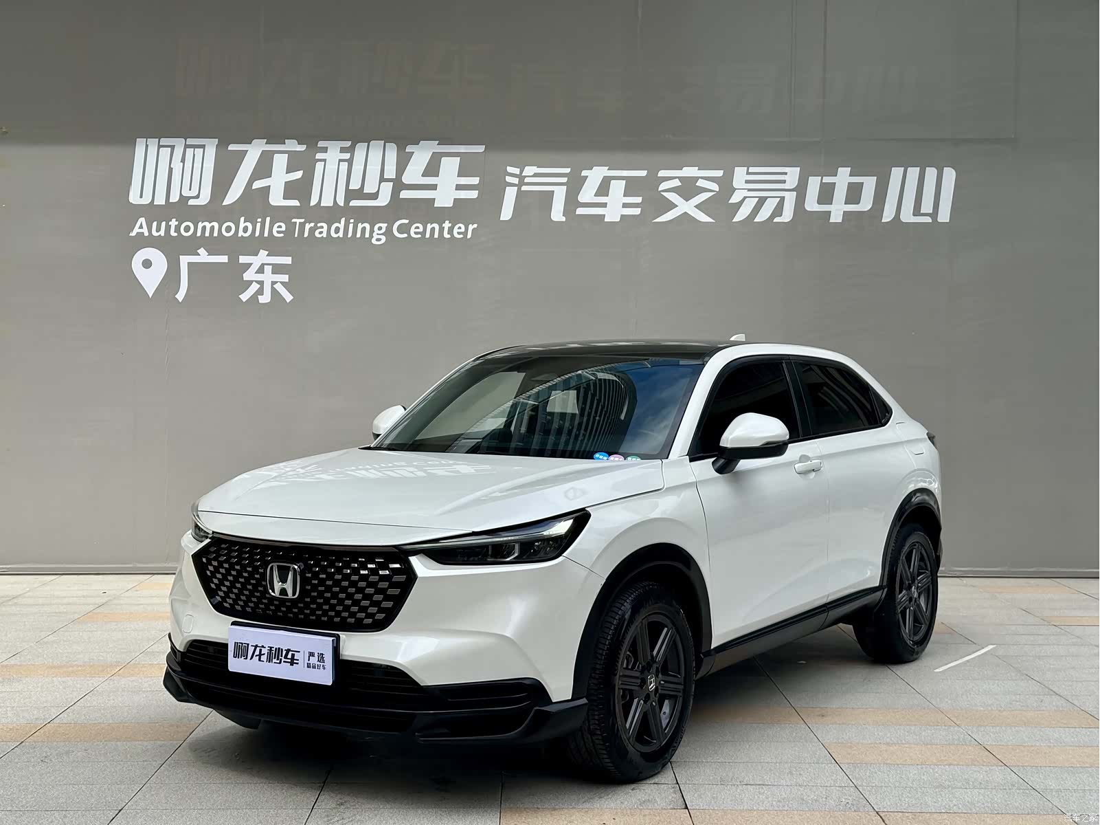 Honda XR-V