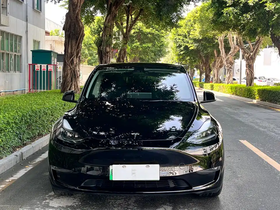 Tesla Model Y Tesla Model Y