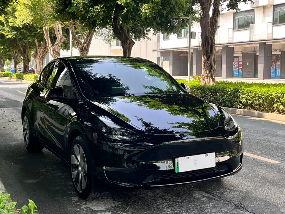 Tesla Model Y Tesla Model Y