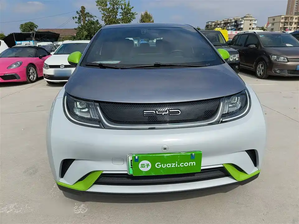 BYD dolphin BYD dolphin