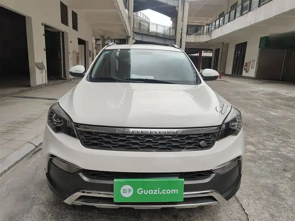 Leopaard Cheetah CS10