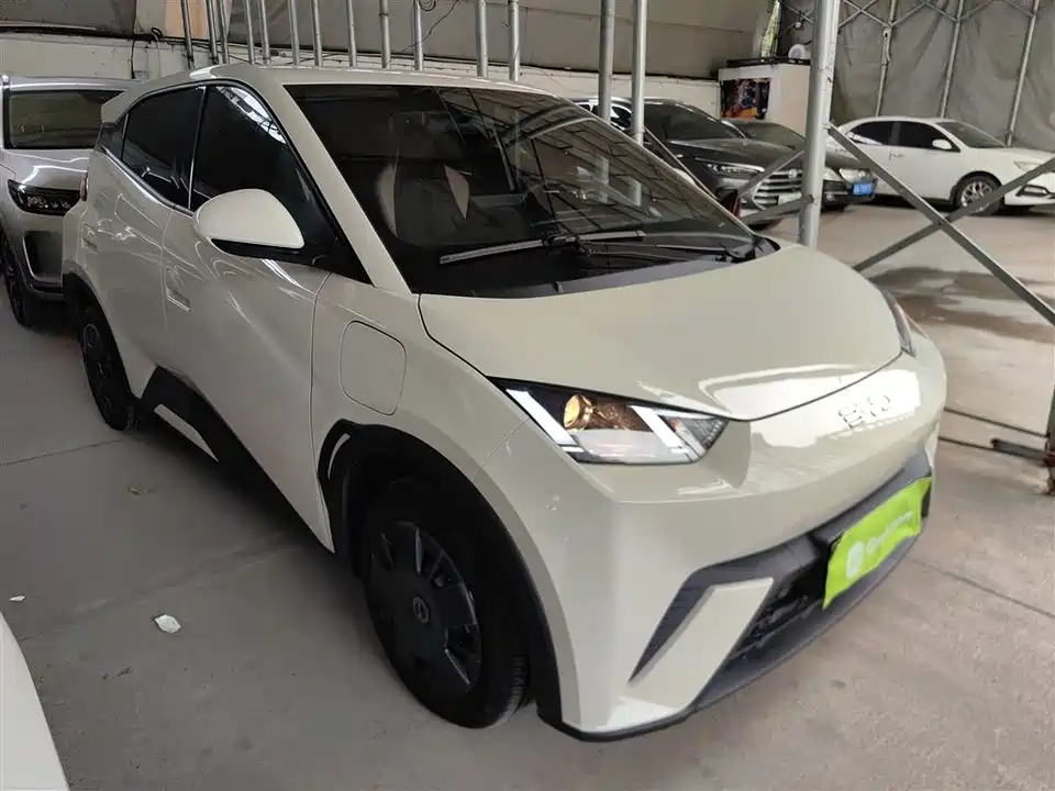 BYD Seagull