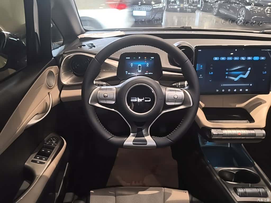 BYD Dolphin, 2025 4