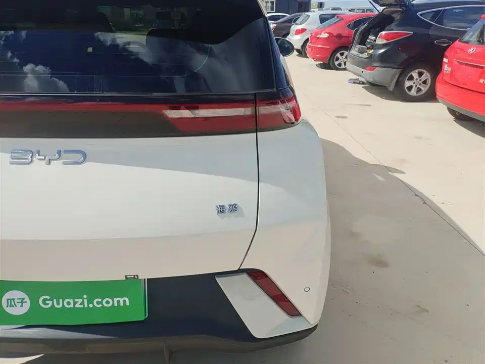 BYD Seagull