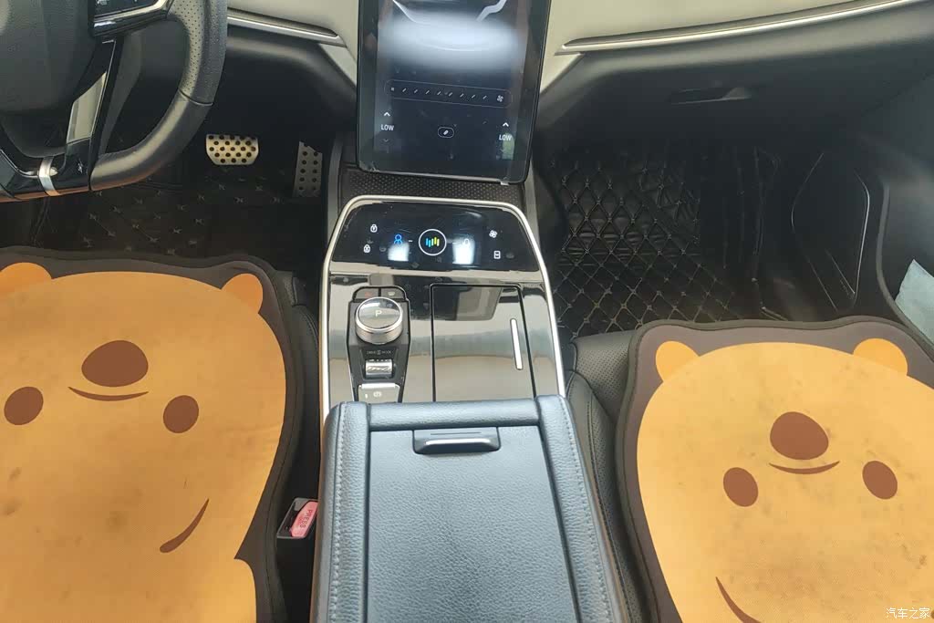 WM Motor EX5, 2020 15