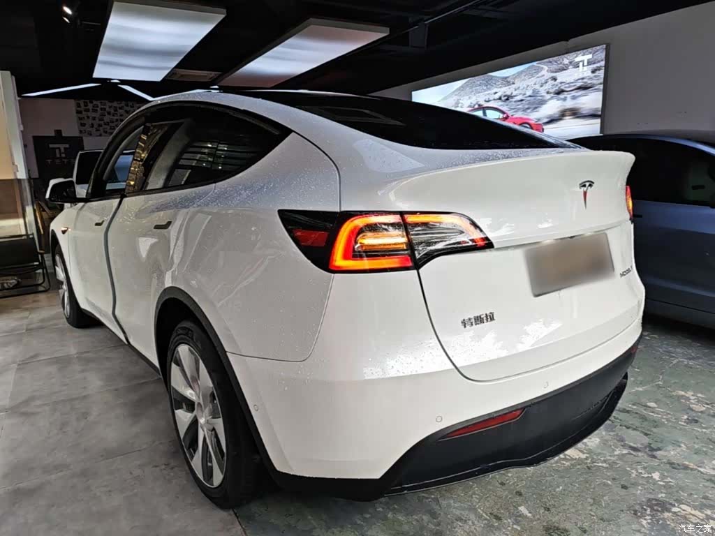 Tesla Model Y, 2021 все фото