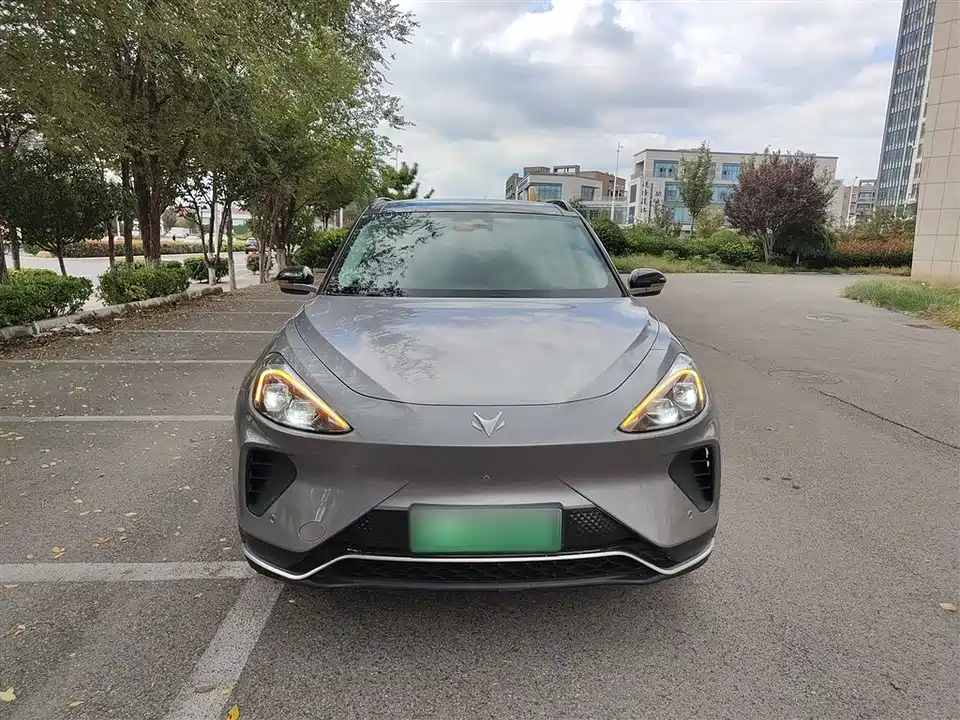 ARCFOX Polar Fox Alpha T