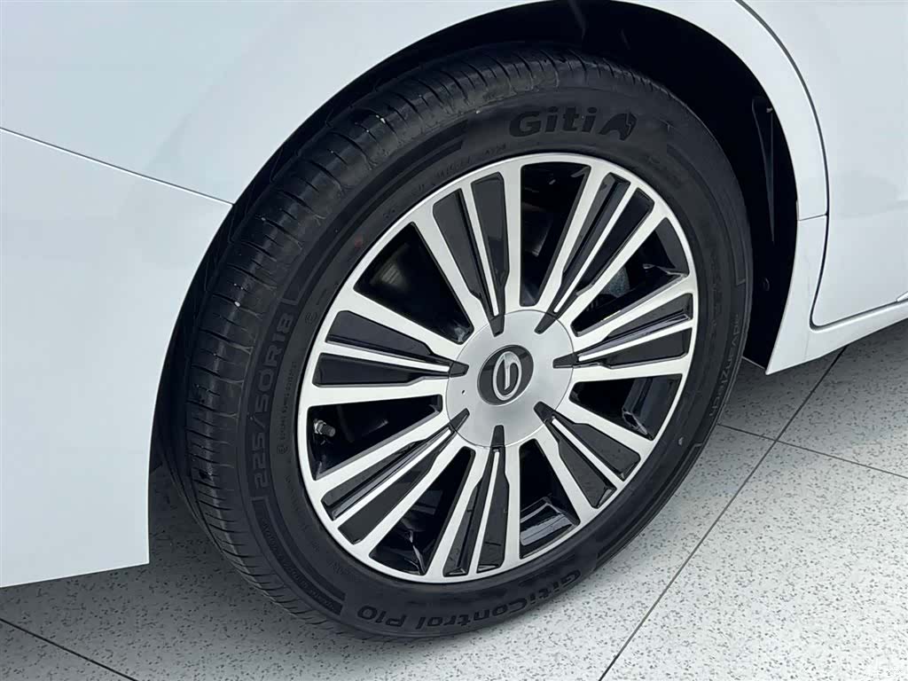 Trumpchi E8, 2024 21